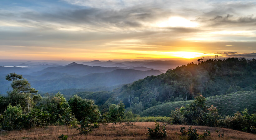 Vision für eine Welt in Frieden, Freiheit und Selbstverantwortung